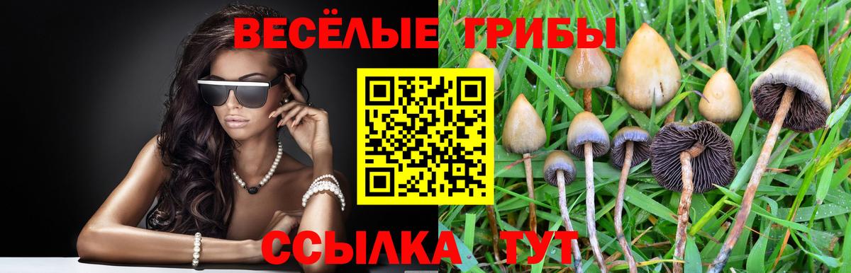 купить  сайты  Вход с VPN  Галлюциногенные грибы ЛСД  Магадан  Псилоцибиновые грибы мицелий 